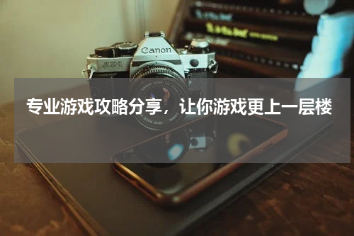  专业游戏攻略分享，让你游戏更上一层楼 