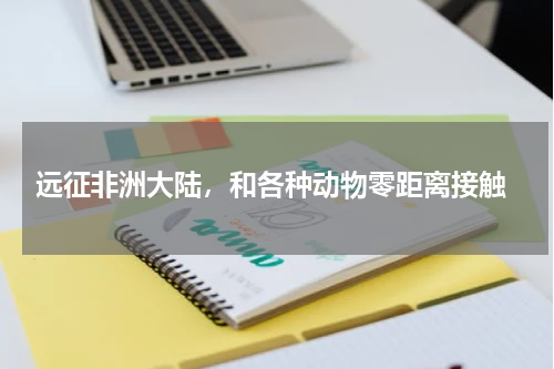 远征非洲大陆，和各种动物零距离接触