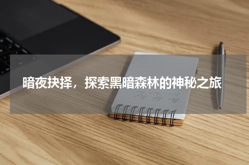  暗夜抉择，探索黑暗森林的神秘之旅