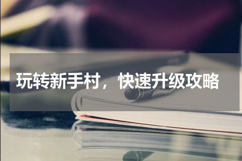  玩转新手村，快速升级攻略