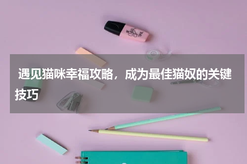  遇见猫咪幸福攻略，成为最佳猫奴的关键技巧