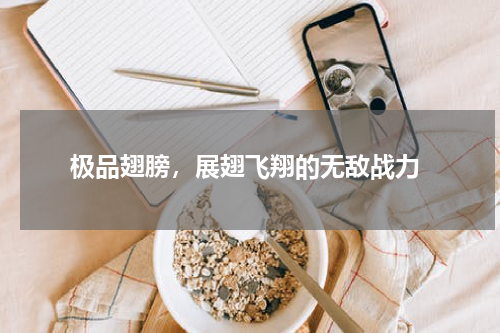  极品翅膀，展翅飞翔的无敌战力