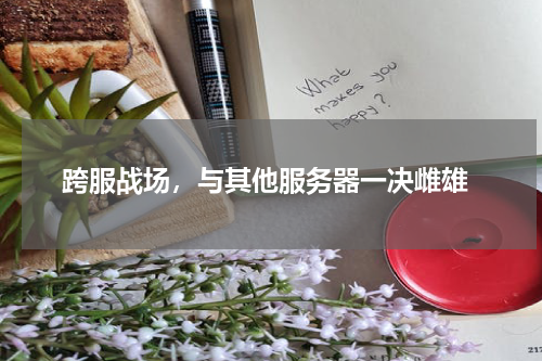  跨服战场，与其他服务器一决雌雄