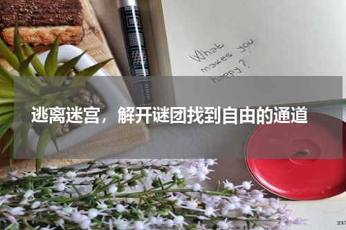  逃离迷宫，解开谜团找到自由的通道