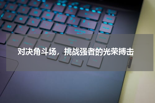  对决角斗场，挑战强者的光荣搏击