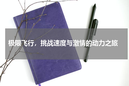  极限飞行，挑战速度与激情的动力之旅