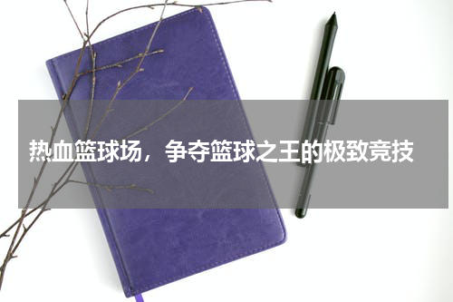  热血篮球场，争夺篮球之王的极致竞技