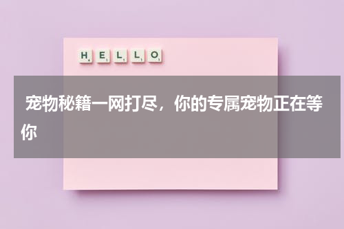  宠物秘籍一网打尽，你的专属宠物正在等你