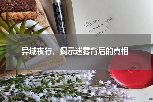  异域夜行，揭示迷雾背后的真相