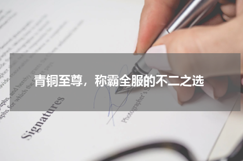  青铜至尊，称霸全服的不二之选
