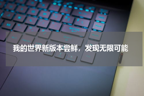  我的世界新版本尝鲜，发现无限可能