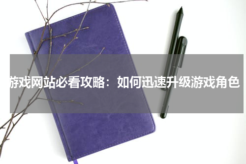 游戏网站必看攻略：如何迅速升级游戏角色
