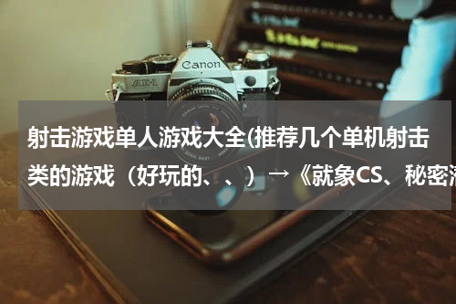 射击游戏单人游戏大全(推荐几个单机射击类的游戏（好玩的、、）→《就象CS、秘密潜入、重返德军总部、荣誉部队已经玩过的就不用了）)
