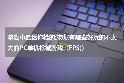 游戏中最迷你枪的游戏(有哪些好玩的不太大的PC单机枪械游戏（FPS))