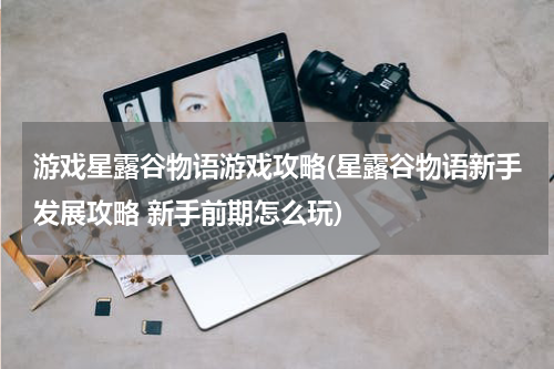 游戏星露谷物语游戏攻略(星露谷物语新手发展攻略 新手前期怎么玩)