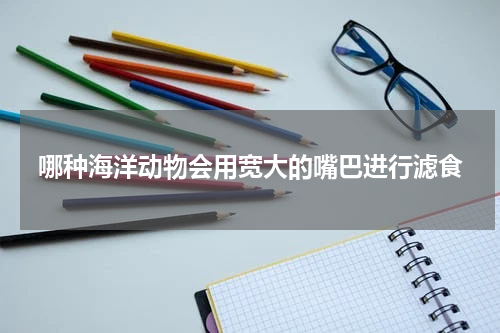 哪种海洋动物会用宽大的嘴巴进行滤食
