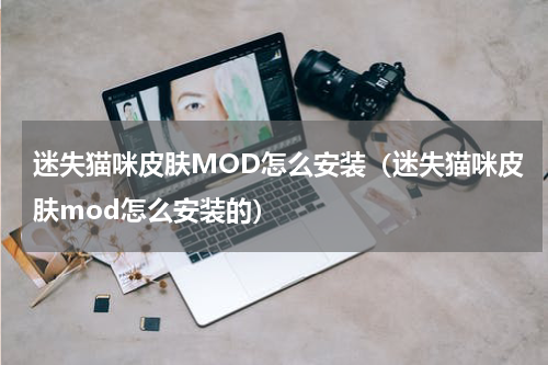 迷失猫咪皮肤MOD怎么安装（迷失猫咪皮肤mod怎么安装的）