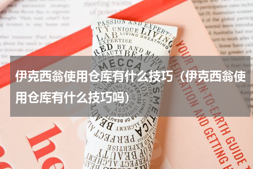 伊克西翁使用仓库有什么技巧（伊克西翁使用仓库有什么技巧吗）