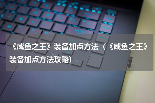 《咸鱼之王》装备加点方法（《咸鱼之王》装备加点方法攻略）