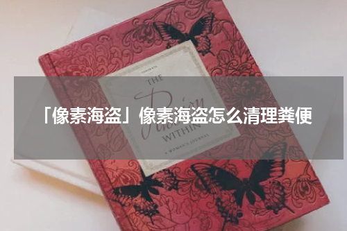 「像素海盗」像素海盗怎么清理粪便
