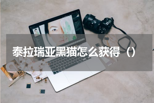 泰拉瑞亚黑猫怎么获得（）