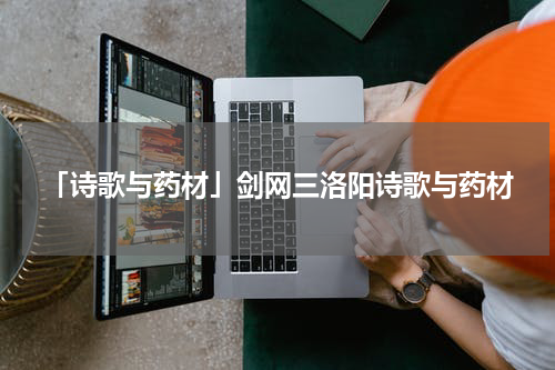 「诗歌与药材」剑网三洛阳诗歌与药材