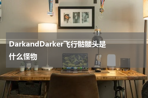 DarkandDarker飞行骷髅头是什么怪物