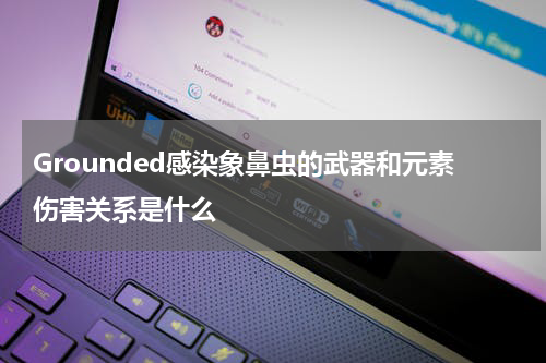 Grounded感染象鼻虫的武器和元素伤害关系是什么