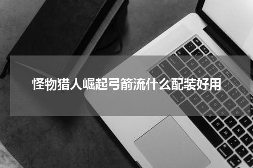 怪物猎人崛起弓箭流什么配装好用