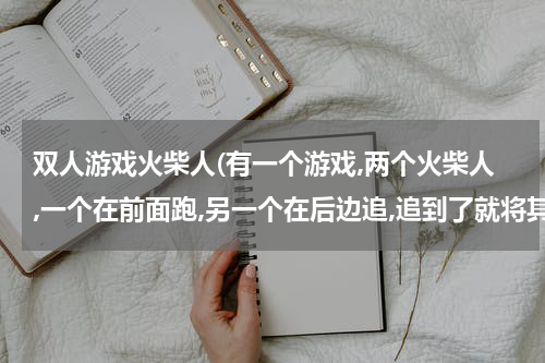 双人游戏火柴人(有一个游戏,两个火柴人,一个在前面跑,另一个在后边追,追到了就将其击昏，这是什么游戏)