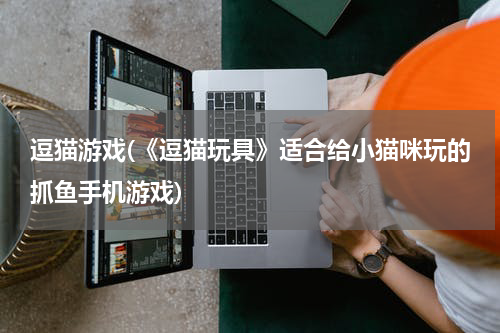 逗猫游戏(《逗猫玩具》适合给小猫咪玩的抓鱼手机游戏)