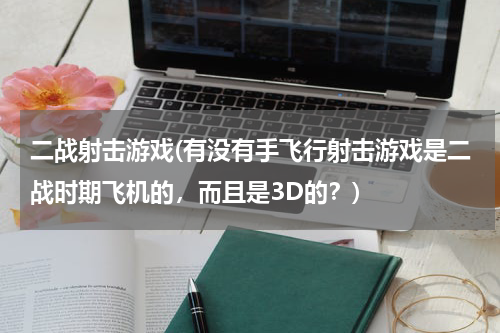 二战射击游戏(有没有手飞行射击游戏是二战时期飞机的，而且是3D的？)