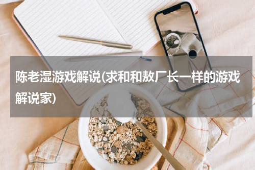 陈老湿游戏解说(求和和敖厂长一样的游戏解说家)