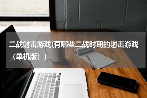 二战射击游戏(有哪些二战时期的射击游戏（单机版）)