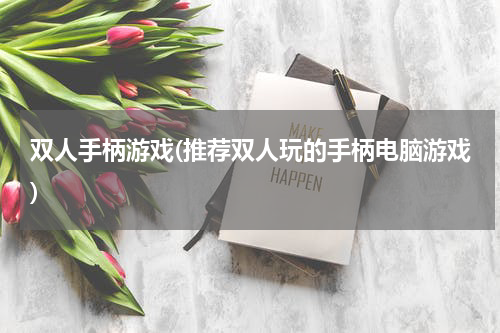 双人手柄游戏(推荐双人玩的手柄电脑游戏)