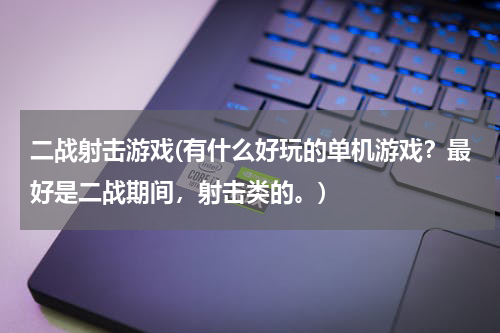 二战射击游戏(有什么好玩的单机游戏？最好是二战期间，射击类的。)