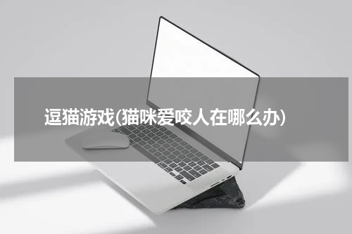 逗猫游戏(猫咪爱咬人在哪么办)