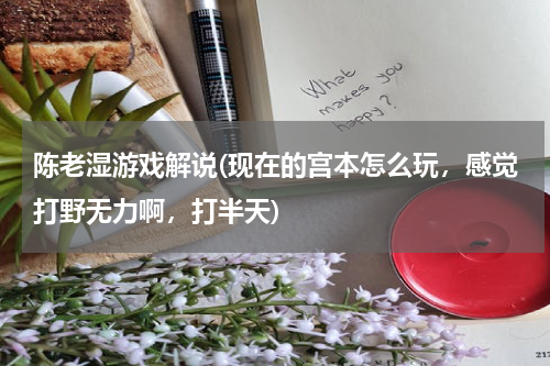 陈老湿游戏解说(现在的宫本怎么玩，感觉打野无力啊，打半天)