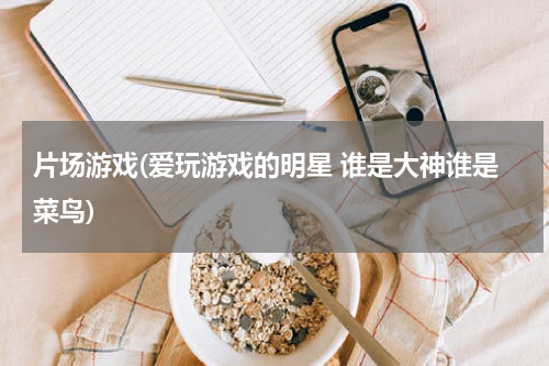 片场游戏(爱玩游戏的明星 谁是大神谁是菜鸟)