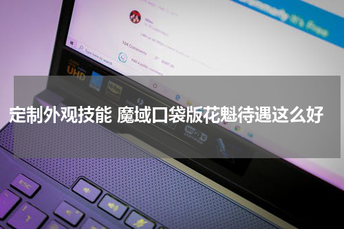 定制外观技能 魔域口袋版花魁待遇这么好