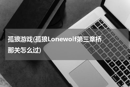 孤狼游戏(孤狼Lonewolf第三章桥那关怎么过)