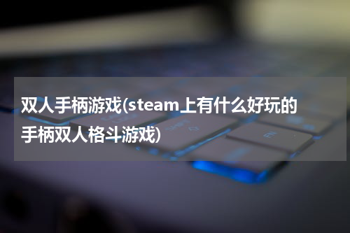 双人手柄游戏(steam上有什么好玩的手柄双人格斗游戏)