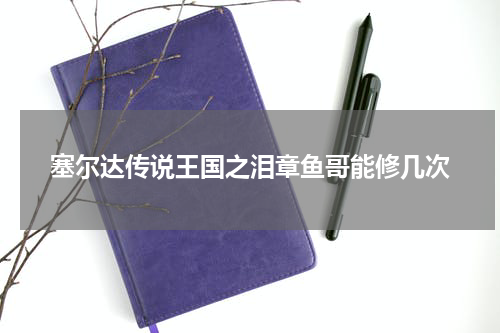 塞尔达传说王国之泪章鱼哥能修几次