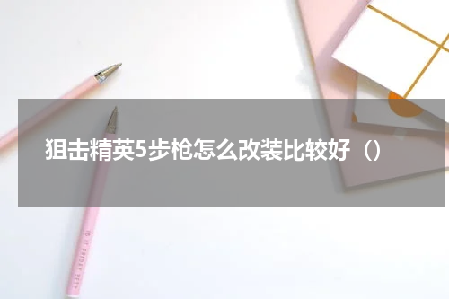 狙击精英5步枪怎么改装比较好（）
